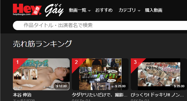 HEY����gay�̃T���l�C��