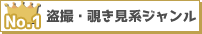 盗撮・覗き見系